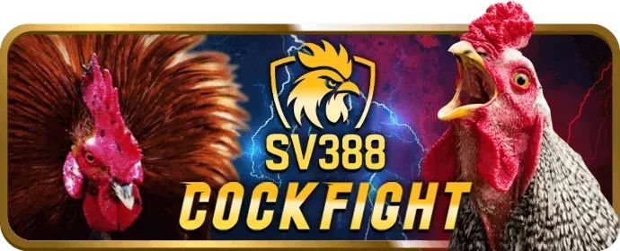 Bản đồ vị trí văn phòng 88vv bet tại TP. Hồ Chí Minh